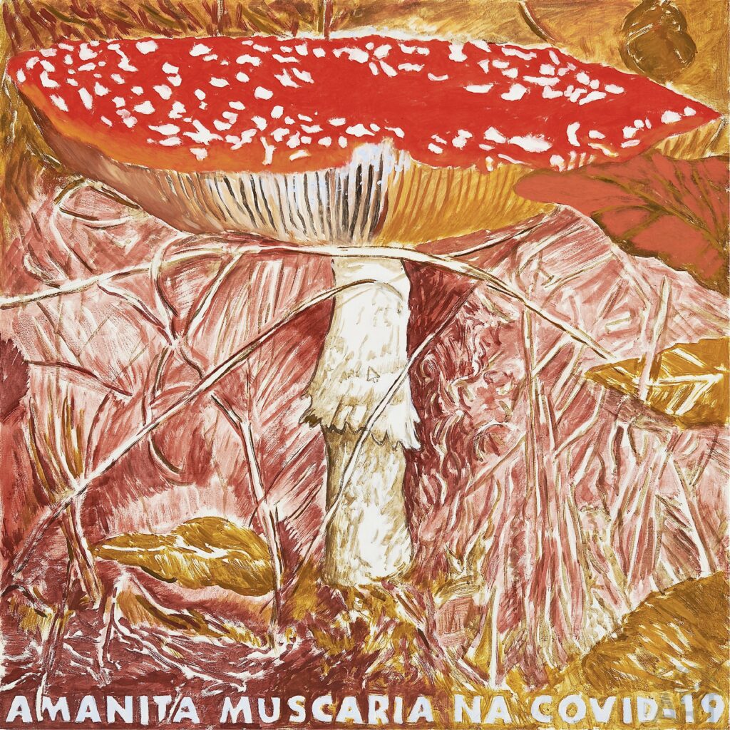 Jarosław Modzelewski|Marek Sobczyk-Amanita Muscaria przeciw Covid–19 [Żołnierz rozpoznaje bojem]