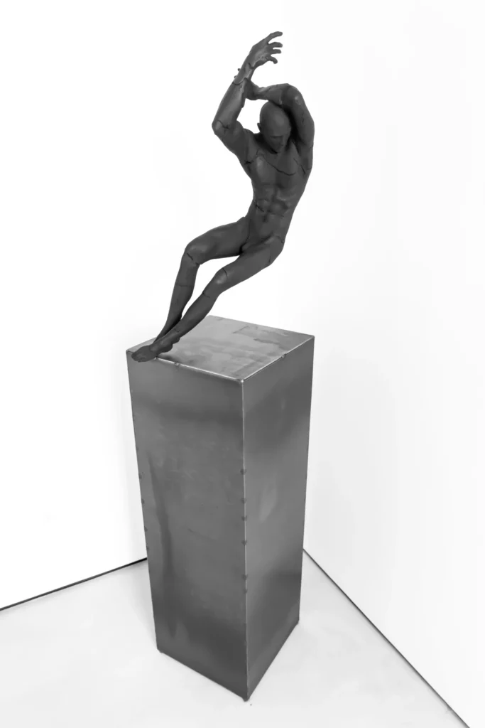 Tomasz Górnicki-DAMAGE MAKES A MEANING