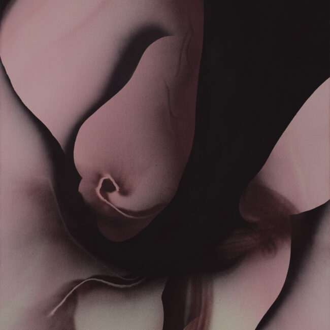 • „Obraz Sebastiana Krzywaka, Bez tytułu 167 – akryl i spray, 130 × 100 cm”